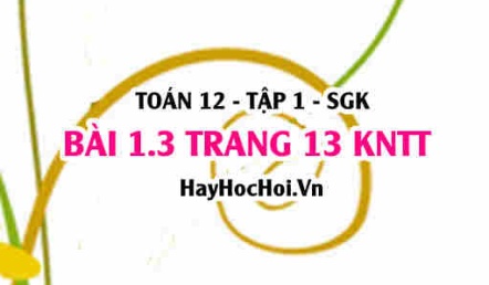 Bài 1.3 trang 13 Toán 12 tập 1 Kết nối tri thức